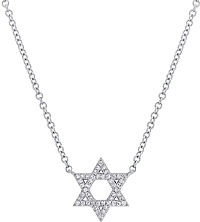 14k White Gold Diamond Star Of David Necklace